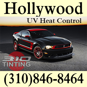 tinting in Hollywood